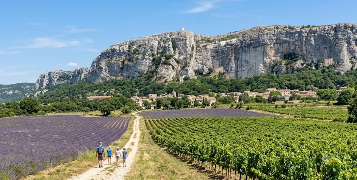 Randonnée entre lavande et vignes au pied du village perché